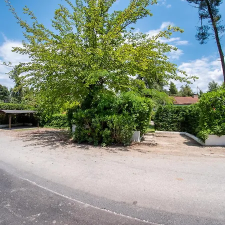 Sani Lili 9 Sani (Chalkidiki)