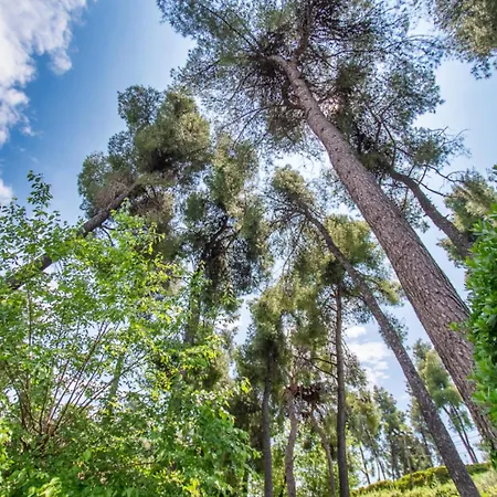 Sani Lili 9 빌라 *