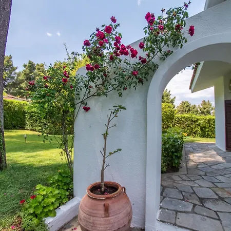 Sani Lili 9 * Sani (Chalkidiki)